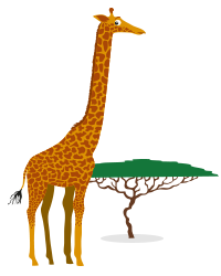 Africa