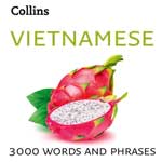 Vietnamese Download